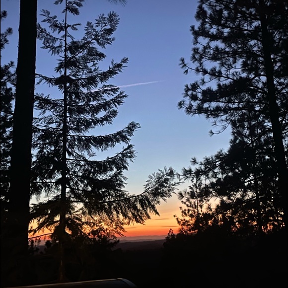 Meet your Posher, Sophia - Picture 1 of 1